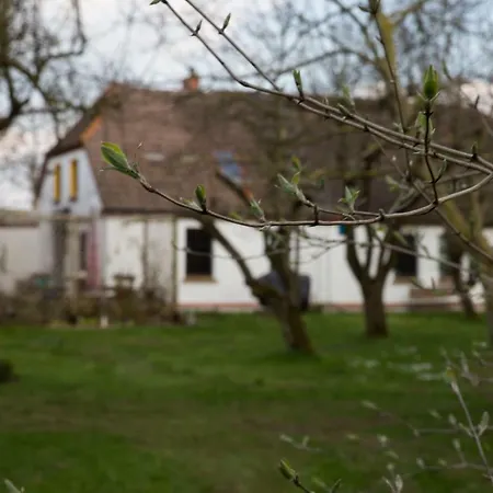 Goldhammer * Neuburg (Mecklenburg-Vorpommern)