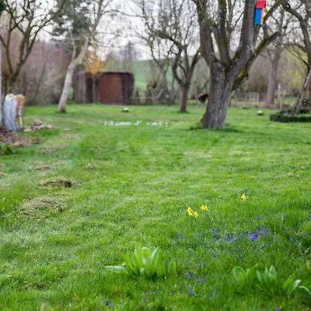 Goldhammer * Neuburg (Mecklenburg-Vorpommern)