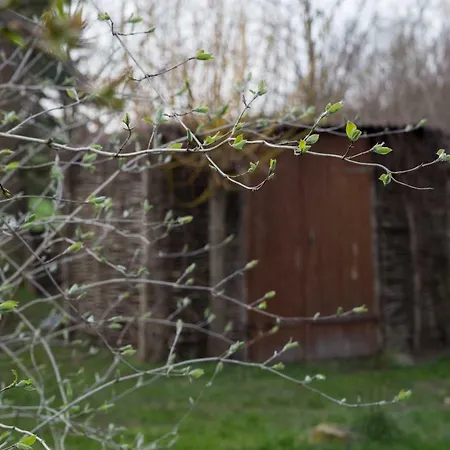 Goldhammer Apartament *