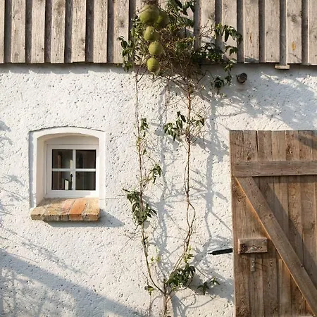 Goldhammer * Neuburg (Mecklenburg-Vorpommern)