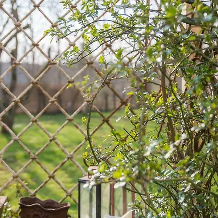 Apartament Goldhammer *